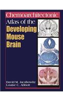 Chemoarchitectonic Atlas of the Developing Mouse Brain