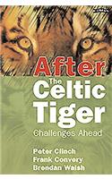 After the Celtic Tiger