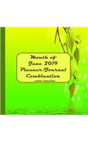 Month of June 2019 Planner/Journal Combination: Sixth Month in the lined Planner/Journal Combo Series, color interior, matte cover, paperback, daily guided mindfulness journal, half-hour increment
