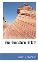 New Hampshire as It Is