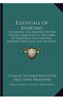 Essentials of Anatomy