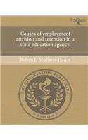 Causes of Employment Attrition and Retention in a State Education Agency.