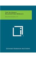 SEI Whale, Balaenoptera Borealis: Discovery Reports, V17