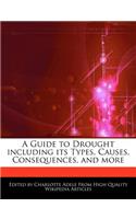 A Guide to Drought Including Its Types, Causes, Consequences, and More