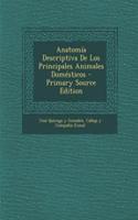 Anatomía Descriptiva De Los Principales Animales Domésticos - Primary Source Edition