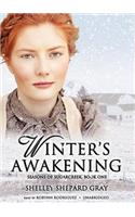 Winter's Awakening: Seasons of Sugarcreek, Book One