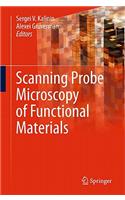 Scanning Probe Microscopy of Functional Materials