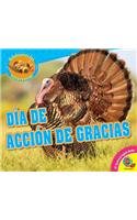 Dia de Accion de Gracias