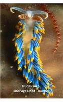 Nubibranch