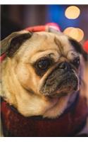 Dearest Pug Puppy Dog Journal: 150 Page Lined Notebook/Diary