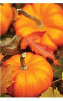 Journal Pumpkins Fall Autumn Decor
