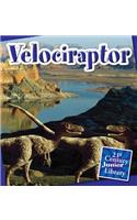 Velociraptor