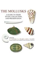 Mollusks