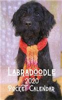 Labradoodle 2020 Pocket Calendar