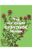 The one minute gratitude journal