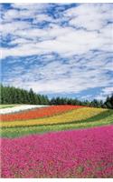 The Hacker-Proof Internet Address Password Book - Flower Field
