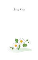 Daisy Notes