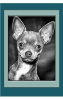 Chihuahua Notebook: Dog Notebook, Journal, Gift Book(8 Dog Notebooks)