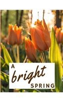 A Bright Spring