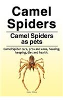 Camel spiders. Camel spiders as pets. Camel spider care, pros and cons, housing, keeping, diet and health.