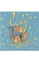 Lily: A Story of Courage and the Joplin Tornado