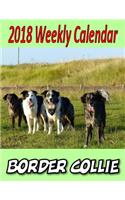 2018 Weekly Calendar Border Collie