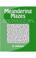 Meandering Mazes