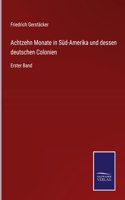 Achtzehn Monate in Süd-Amerika und dessen deutschen Colonien