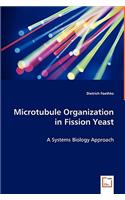 Microtubule Organization in Fission Yeast - A Systems Biology Approach