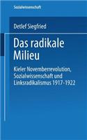 Das Radikale Milieu