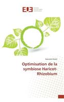 Optimisation de la Symbiose Haricot-Rhizobium