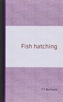 Fish hatching