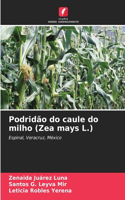 Podridão do caule do milho (Zea mays L.)