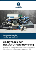 Dynamik der Elektroschrottentsorgung