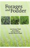 Forages and Fodder: Indian Perspectives