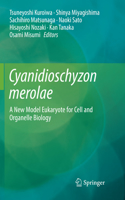 Cyanidioschyzon Merolae
