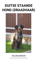 Duitse staande hond (draadhaar)