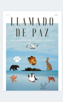 Llamado de paz