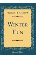 Winter Fun (Classic Reprint)