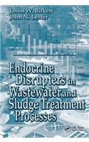 Endocrine Disrupters in Wastewater and Sludge Treatment Processes