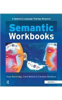 Semantic Workbooks