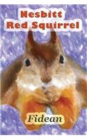 Nesbitt Red Squirrel
