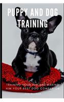 Puppy and Dog Training