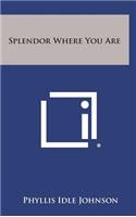 Splendor Where You Are