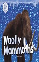 Woolly Mammoths