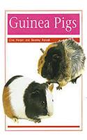 Pets: Guinea Pigs