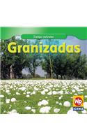 Granizadas (Hailstorms)