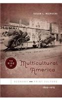 Rise of Multicultural America