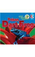 Animals of the Amazon Rainforest: Poison Dart Frog