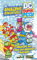 Whatzit vs the Ice Blaster Burglar